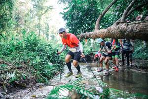 BIB: 
                            <button type="button" onclick="openModal(25452744)" class="btn btn-primary btn-sm float-right btn-popup" data-toggle="modal" data-target=".modal-high-quality">
                        <i class="fas fa-shopping-cart"></i> Add to Cart
                    </button>
                                            <button type="button" onclick="isThisMe(25452744, true)" class="btn btn-success btn-sm float-right btn-popup btn-isme hidden" data-toggle="tooltip" data-placement="bottom" title="นี่คือรูปของคุณใช่ไหม คลิกที่นี่เพื่อเอาเข้าอัลบั้ม">
                        <i class="fas fa-plus"></i> Add to album
                    </button>
                    <button type="button" onclick="isThisMe(25452744, false)" class="btn btn-warning btn-sm float-right btn-popup btn-isnotme hidden">
                        <i class="fas fa-ban"></i> Remove from album
                    </button>